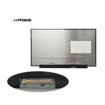 240HZ 17.3